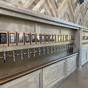 Beers/Seltzers on tap