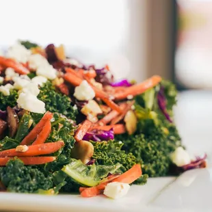 Cranberry-Kale Salad