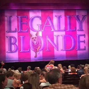 Legally Blonde the Musical!