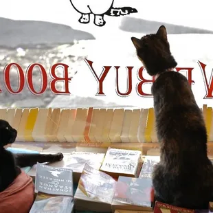 Oliver (left) and Claudia (right) gaze out at the world outside the bookshop.