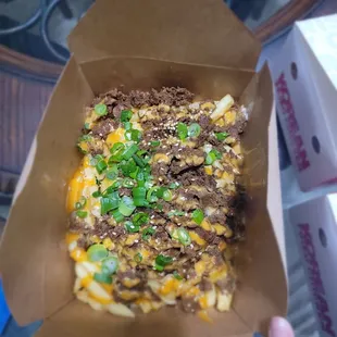 Bulgogi fries