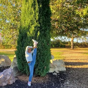 So many different trees