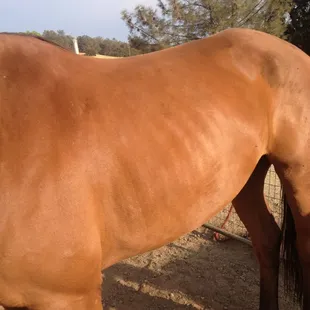 Opportunity Acres