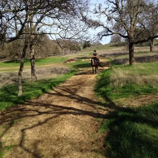 The trails R awesome!