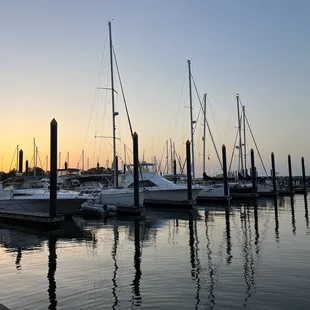 a row of sailboats docked at a marina