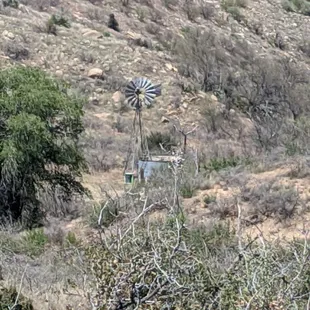 Windmill