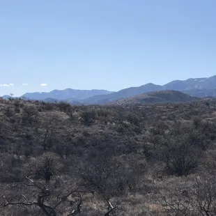 Another vista of the Catalinas