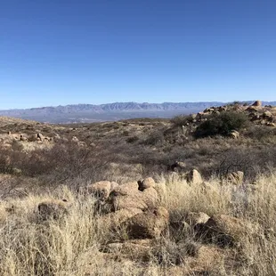 View of the Galiuro range beyond the San Pedro River