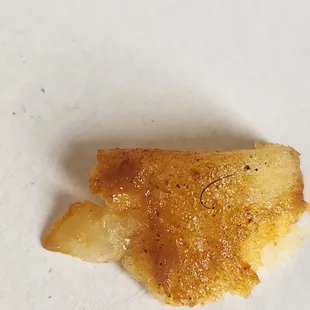 Hair cooked into my Tortilla shell. Disgusting!