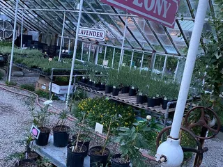 Michler's Florist, Greenhouses & Garden Design