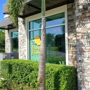 a palm tree in front of a building