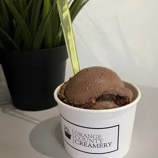Simple chocolate was simply delicious