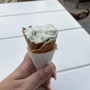 Mint Chocolate (what&apos;s left of it) . Yum!