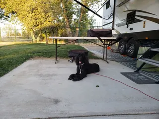 Bakersfield River Run