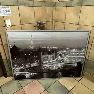 Restroom - large picture of Paris on the floor - unique :)