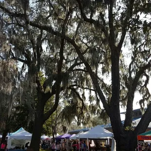 a crowd of people walking around a park