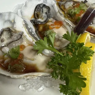 food, oysters, mussels, shellfish, oysters and mussels