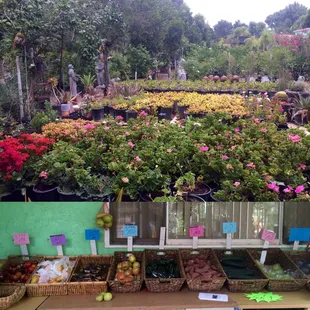 They also sell plants and garden statues, as well as fruits and local honey.