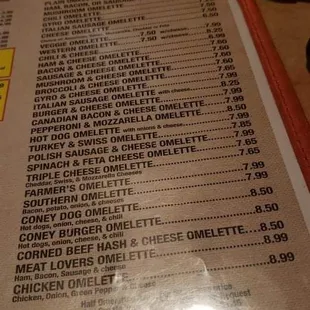 Look at all those omelette options!!