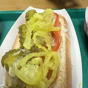 Chicago dog