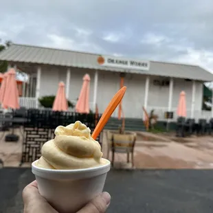 Orange Ice CREAM