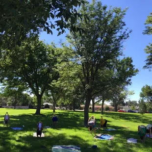 Allisun's Yoga in the Park class.