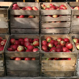 Freshly Picked - Bushels of Apples at the orchard store at old homestead