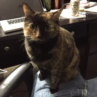 She's wondering why the floors have to creak so bad.