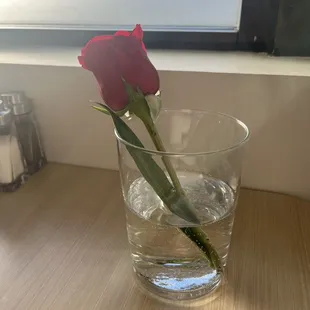 Valentine's Day Flower!