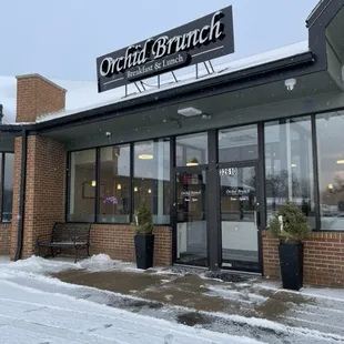 Orchid Brunch in Livonia, Michigan