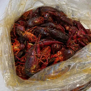 Crawfish Fusion Spicy
