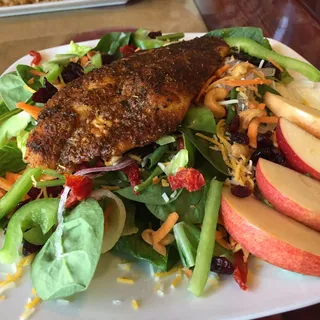 Catfish/Autumn Salad