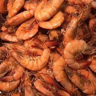 Boiled Shrimps...