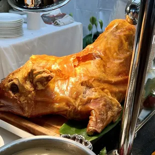 Suckling Pig
