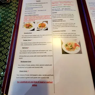 Oct 2021: Menu Pic 5 of 9-- Curry &amp; Fried Rice