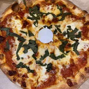 Margherita Pizza