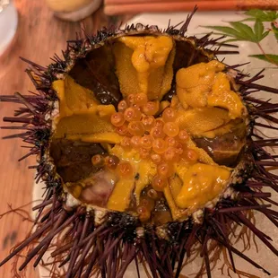 Casa de Kei pop-up dinner - red sea urchin