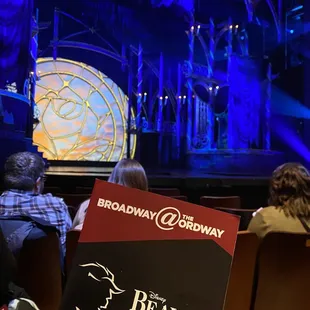 beauty and the beast