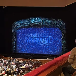 12/29/24 7pm The Little Mermaid performance