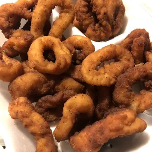 Fried Calamari