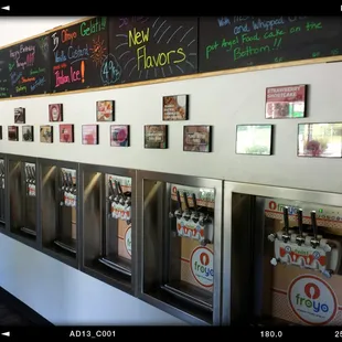 12 froyo flavor options