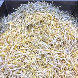 a pile of bean sprouts