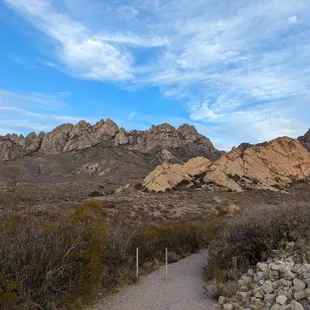 View of the Organ Mountains from the trail