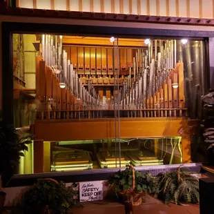 No, not in a church. Right now this is one of three pizza parlors that has a dedicated team of organists playing in different styles.