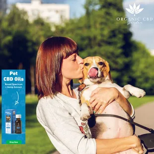 Your fury friend is not a fan of Hurrican storm . Grab your CBD treats for your pets to keep them cool, calm, and collected