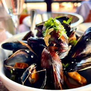 oysters, shellfish, food, mussels, oysters and mussels