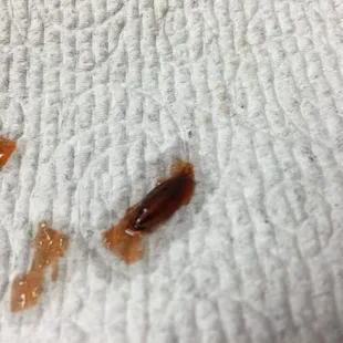 Baby roach in sweet and sour sauce