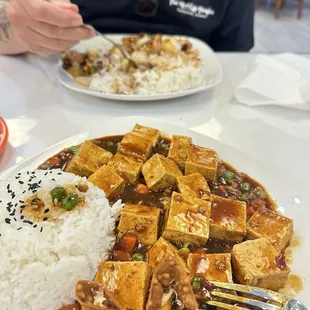 Mapo spicy tofu