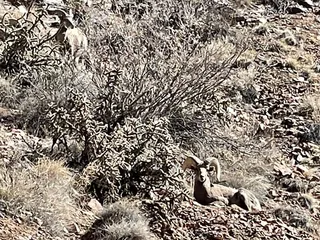 Tunnel Drive Trailhead