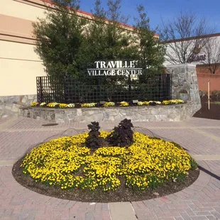 Located in the Traville Center